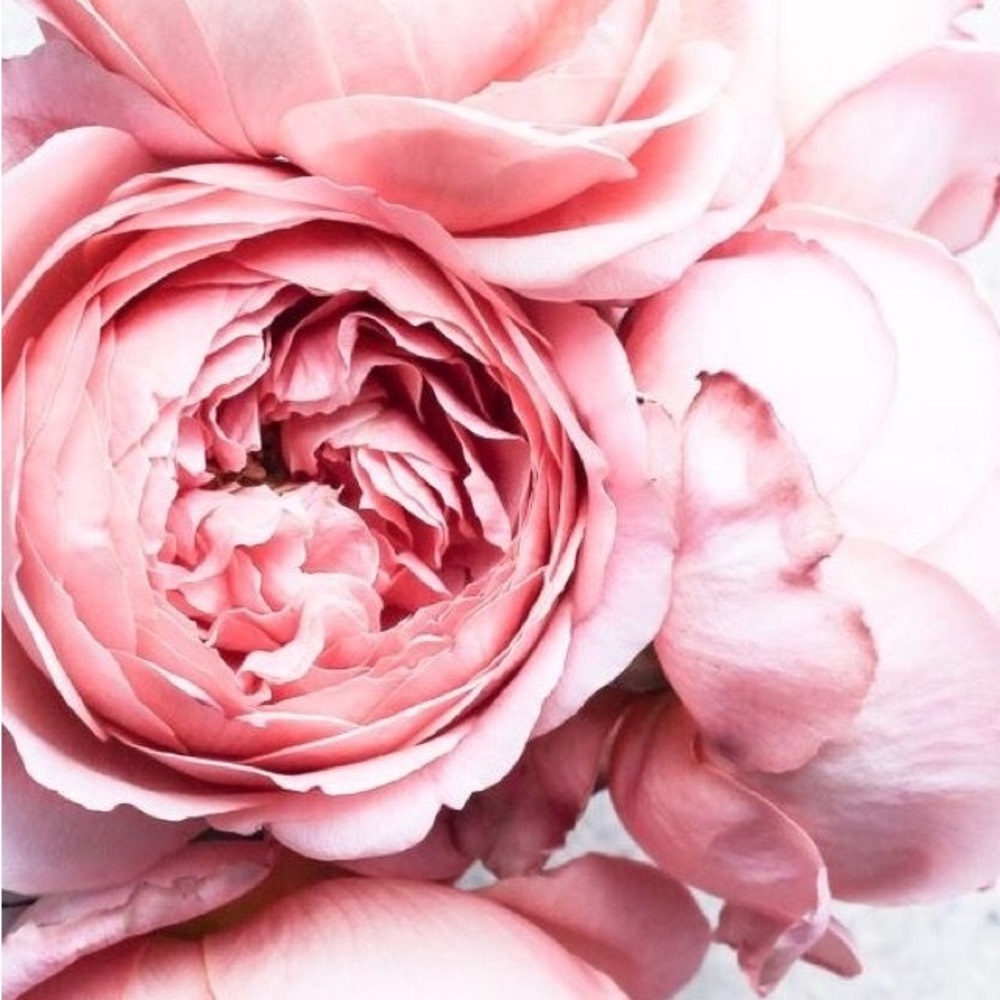 Meet your Posher, Erika